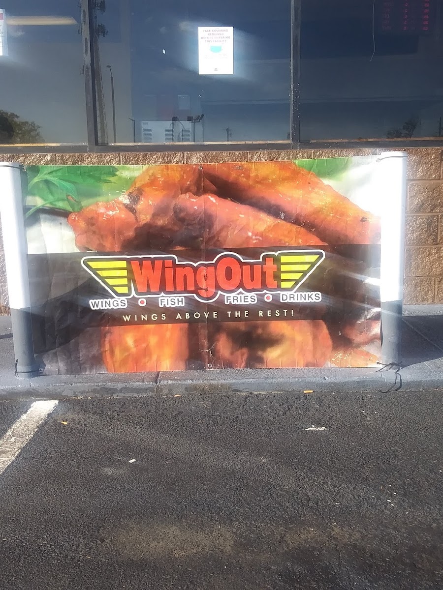 Wingout-3